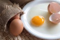 Fresh broken egg with yolk on white dish, Raw eggs with egg sackcloth in brown bag, Photographed on wood background with natural