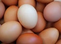 Fresh brown chicken eggs, Close up Royalty Free Stock Photo