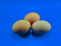 Fresh organic chicken eggs on a blue background Royalty Free Stock Photo