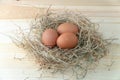 Fresh brown chicken eggs in hay nest on blue wooden background. Concept of organic eggs, free space for text or other elements Royalty Free Stock Photo