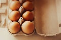 Fresh brown chicken eggs lie in a cardboard box bought at a grocery store. Healthy breakfast. Protein food Royalty Free Stock Photo