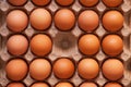 Fresh brown chicken eggs lie in a special cardboard tray