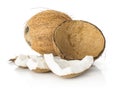 Fresh brown coconut isolated on white Royalty Free Stock Photo