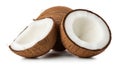 Fresh Brown Coconuts Grouped on White Background Royalty Free Stock Photo