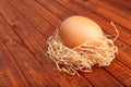 Fresh brown egg in straw nest on wooden background Royalty Free Stock Photo