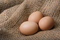 Fresh brown eggs on a bag. Natural crude products