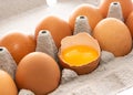 Brown fresh eggs in carton box . Royalty Free Stock Photo