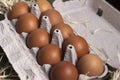 Fresh brown eggs in a special cardboard box egg tray decorated with hay. Egg storage concept, preparing for Easter Royalty Free Stock Photo