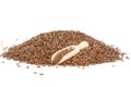 Fresh brown flaxseeds isolated on white