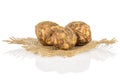 Fresh brown jerusalem artichoke isolated on white Royalty Free Stock Photo