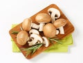 Fresh brown mushrooms