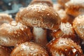 Fresh Brown Mushrooms with Water Droplets Close Up, Organic Food in Natural Setting, Healthy Eating Concept