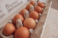 Brown Organic Eggs in Carton - side view