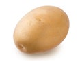 Fresh brown ripe tuber of potato. Royalty Free Stock Photo