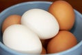 Fresh brown and white eggs in a bowl Royalty Free Stock Photo