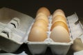 Fresh brown yard eggs in an egg carton.