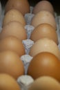 Fresh brown yard eggs in an egg carton.