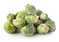 Fresh brussel sprouts Royalty Free Stock Photo