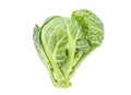 Fresh brussels sprout isolated on white background Royalty Free Stock Photo