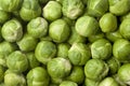 Fresh Brussels sprouts