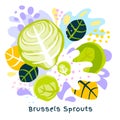 Fresh brussels sprouts cabbage vegetable juice splash organic food on abstract coloful splatter splash background vector