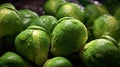 fresh brussels sprouts