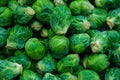 Fresh Brussels sprouts at the Farmer`s Market, edible buds of a specific variety of cabbage or Brassica oleracea Royalty Free Stock Photo