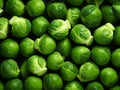 Fresh brussels sprouts wallpapers