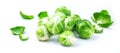 Fresh Bruxelles sprouts on white background closeup.