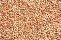 Fresh buckwheat such as food