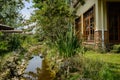 Fresh building in plants and trees by stream in sunny summer