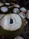 Fresh Buko