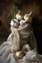 Fresh bulb food ingredient organic healthy garlic vegetable wood spice background Royalty Free Stock Photo