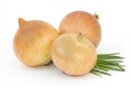 Fresh bulbs of onion on