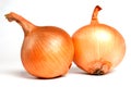 Fresh bulbs of onion Royalty Free Stock Photo