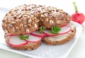 Fresh bun with radish Royalty Free Stock Photo
