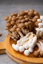 Fresh buna brown and bunapi white shimeji edible mushrooms from Asia, rich in umami tasting compounds such as guanylic and