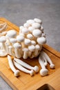 Fresh bunapi white shimeji edible mushrooms from Asia, rich in umami tasting compounds such as guanylic and glutamic acid