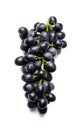 Fresh bunch of black grapes. View from above. White isolated background. Royalty Free Stock Photo