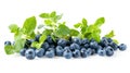 A fresh bunch of blueberries with vibrant green leaves on a white background. The berries are plump and ripe, showcasing a natural