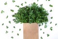 Fresh bunch of cilantro  coriander or parsley in paper bag isolated on white Royalty Free Stock Photo