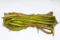 Fresh bunch of colocasia stem or taro stolon on white background