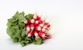 A fresh bunch of French breakfast radishes Royalty Free Stock Photo