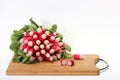 A fresh bunch of French breakfast radishes on a chopping board Royalty Free Stock Photo