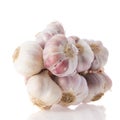 Fresh bunch garlic Royalty Free Stock Photo