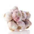 Fresh bunch garlic