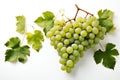 Fresh bunch of grapes with leaves isolated on a white Royalty Free Stock Photo