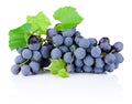 Fresh bunch of grapes with leaves isolated on white background Royalty Free Stock Photo