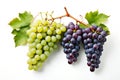 Fresh bunch of grapes with leaves isolated on a white Royalty Free Stock Photo