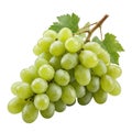 Fresh bunch of green grape fruit with leaf, ripe and healthy food Royalty Free Stock Photo